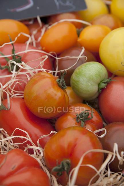 Tomates frescos de colores - foto de stock