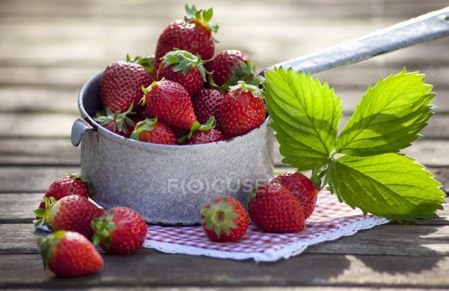 Strawberries with leaves in metal pan — Stock Photo