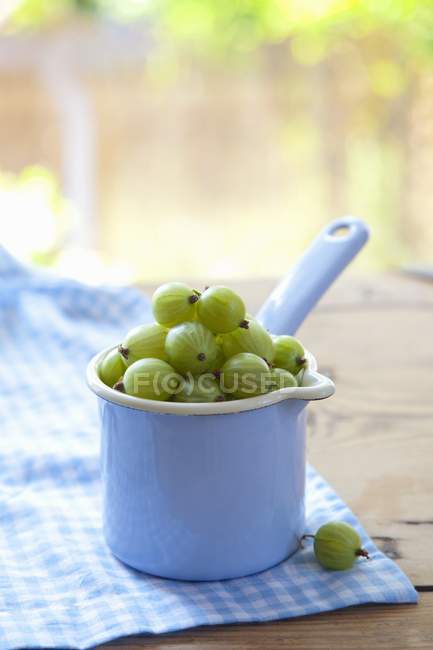 Gooseberries in enamel saucepan — Stock Photo