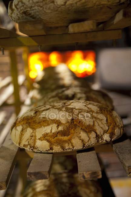Freshly baked loaves on shelf — Stock Photo