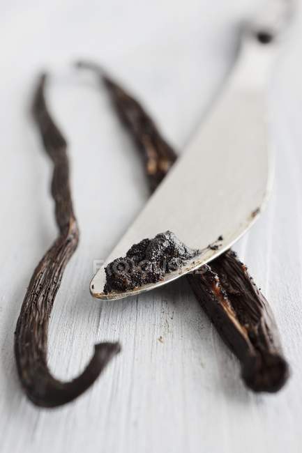 Vanilla pod and seeds — Stock Photo