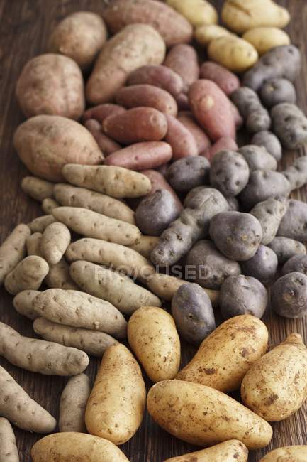 Heap of Assorted types of potatoes — Stock Photo