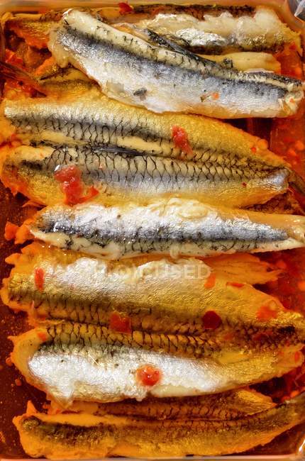 Filetes de sardina con chile - foto de stock