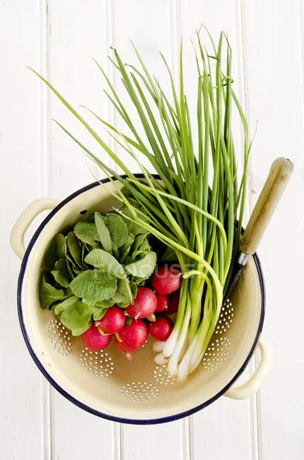 Radishes and spring onions — Stock Photo