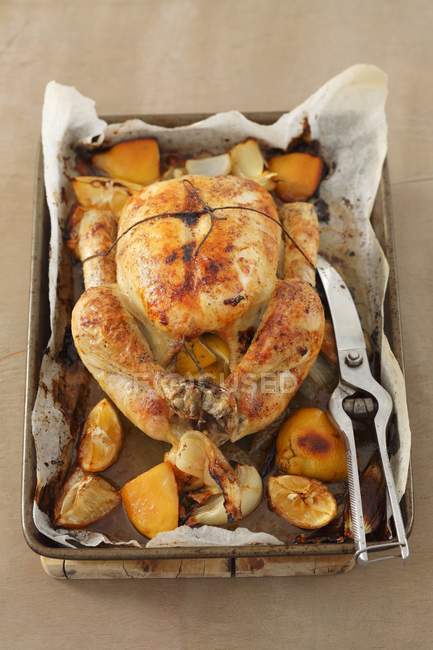 Pollo al horno con limón y cebolla - foto de stock