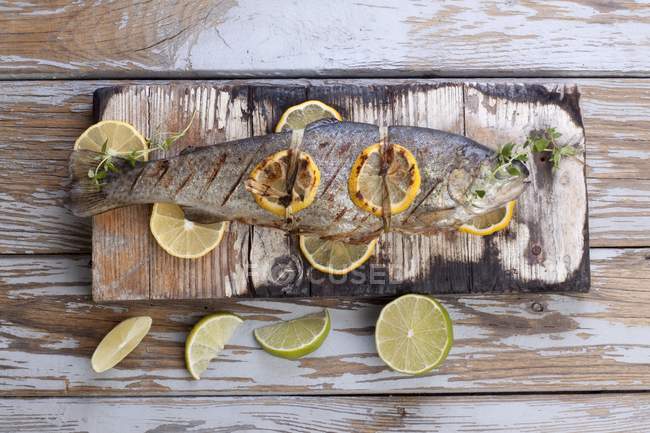 Barbecued trout with lemons and limes — Stock Photo
