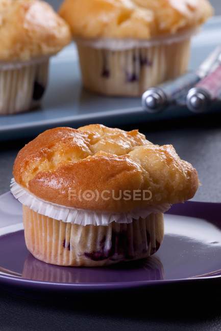 Muffin ai mirtilli fatti in casa — Foto stock
