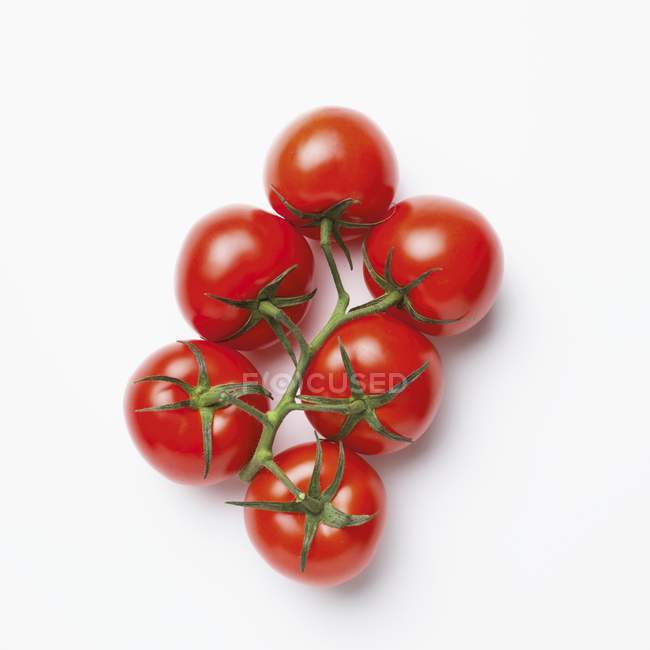 Rote Tomaten an der Rebe — Stockfoto