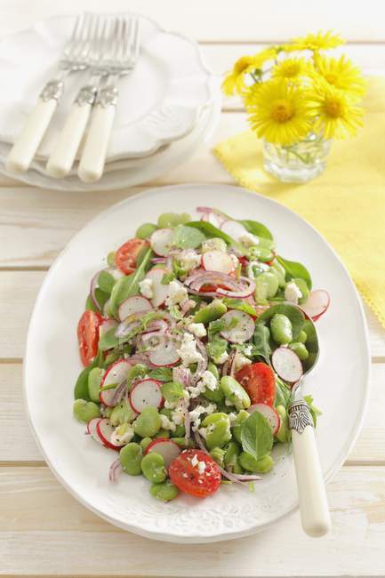 Salada de feijão gordo com rabanetes e tomates cereja na placa branca sobre a superfície de madeira — Fotografia de Stock