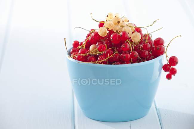 Redcurrants in blue bowl — Stock Photo