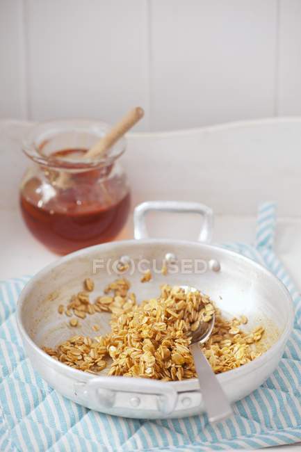 Geröstetes Müsli mit Honig — Stockfoto