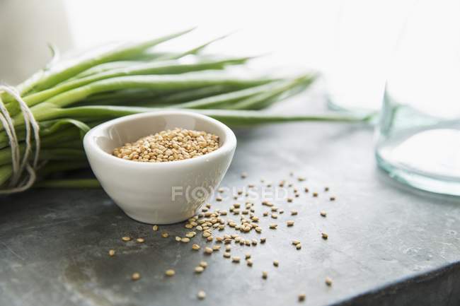 Tigela de sementes de sésamo — Fotografia de Stock