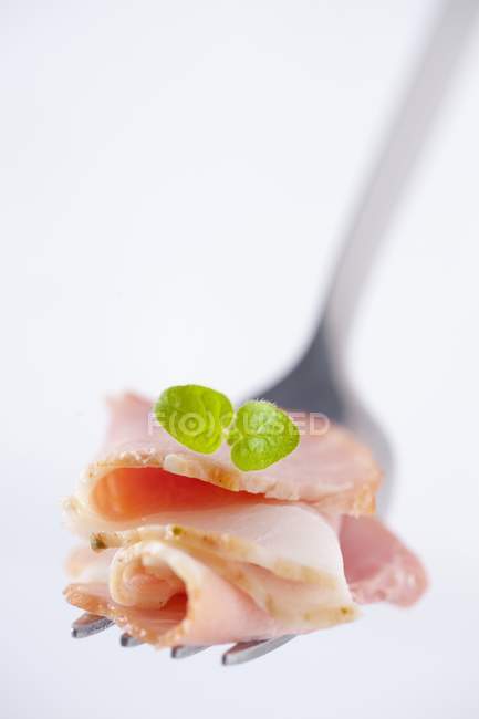 Prosciutto affettato con foglia di origano sulla forchetta — Foto stock