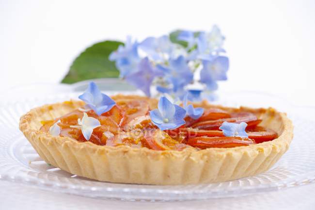 Orange tart with blue hydrangea flowers — Stock Photo