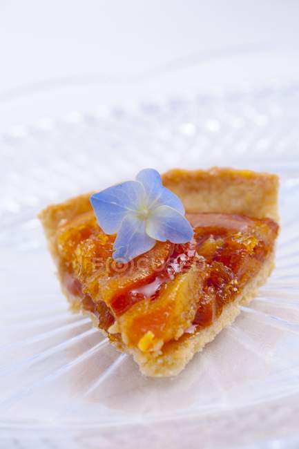 Slice of orange tart — Stock Photo