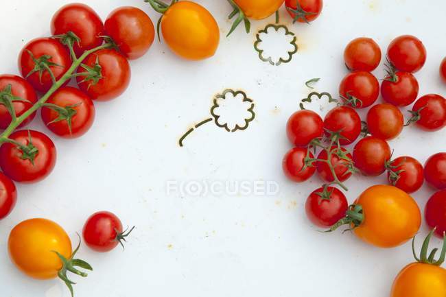 Tomates amarelos e vermelhos — Fotografia de Stock