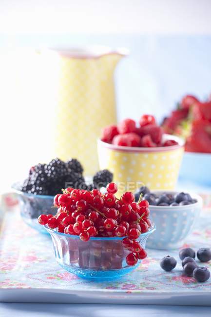 Свіжий літніх ягоди — стокове фото
