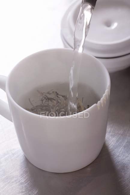 Verter agua en el té de jazmín - foto de stock