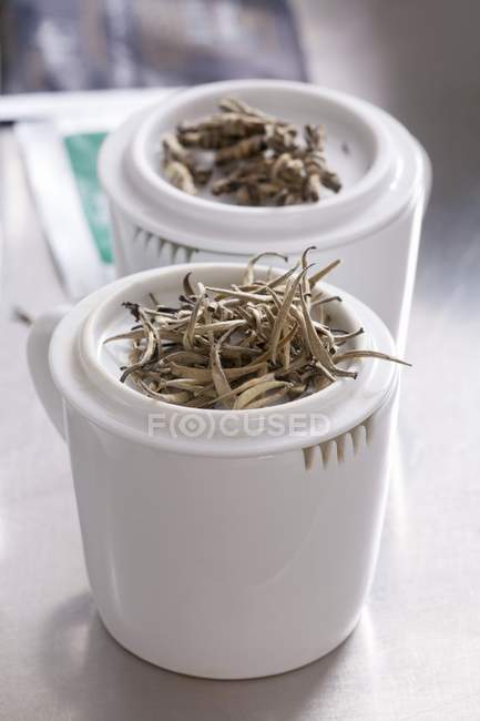 Foglie di gelsomino in tazze da tè — Foto stock