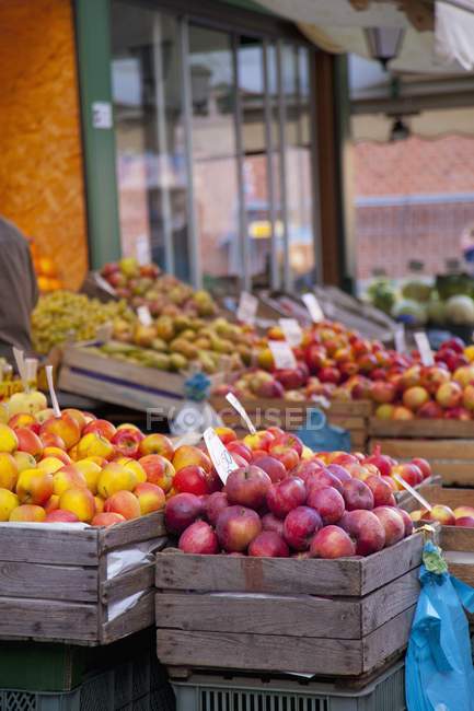 Vista diurna de varios tipos de manzanas en el mercado - foto de stock