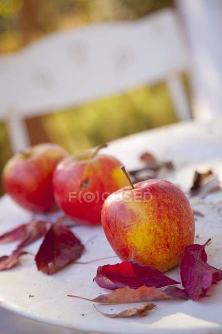 Manzanas frescas y hojas rojas de otoño - foto de stock