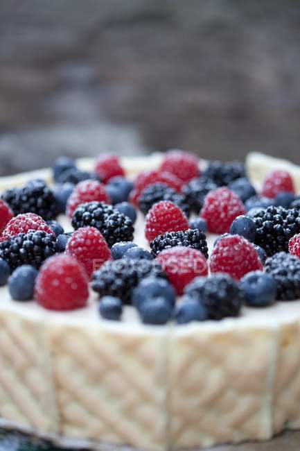 Forest berry-mascarpone cake — Stock Photo