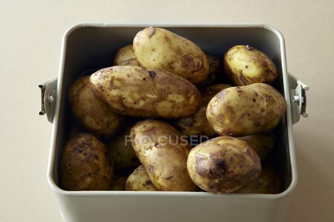 Nuove patate lavate Jersey Royals — Foto stock