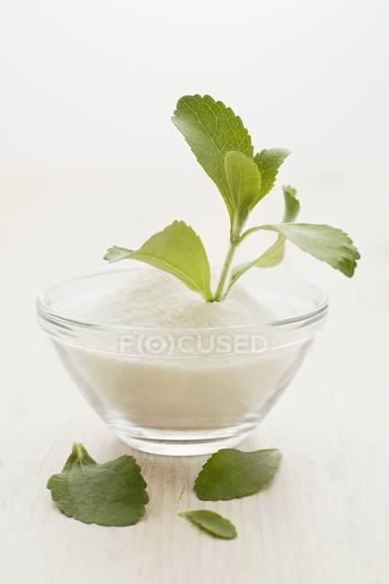 Vista de cerca de una planta de Stevia y polvo en un tazón - foto de stock