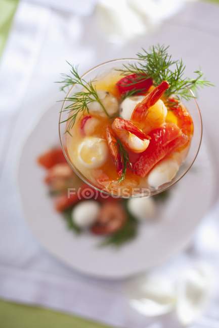 Garnelen-Cocktail mit Fenchelspitzen — Stockfoto