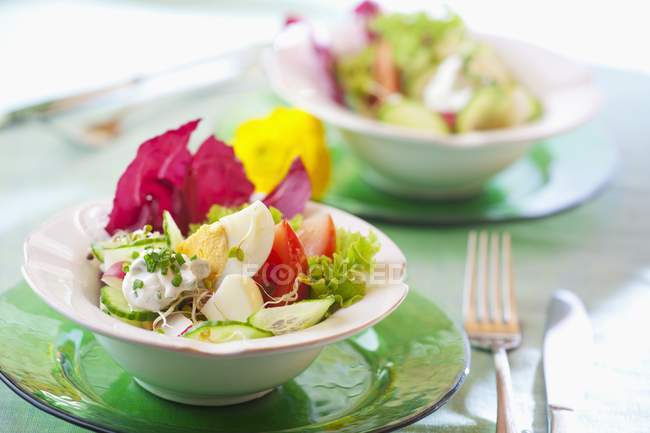Salada de ovo com pepino, tomate, cebolinha e radicchio em pratos sobre mesa — Fotografia de Stock
