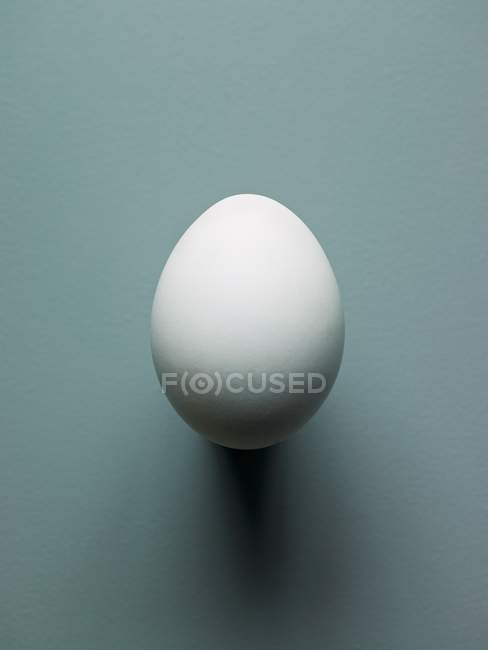Uovo di pollo bianco — Foto stock