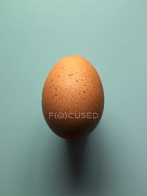 Коричневое яйцо — стоковое фото