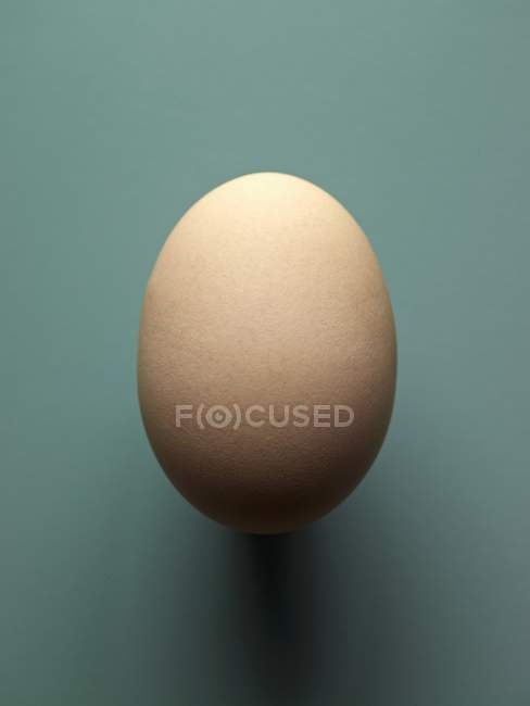 Свіже коричневе велике куряче яйце — стокове фото