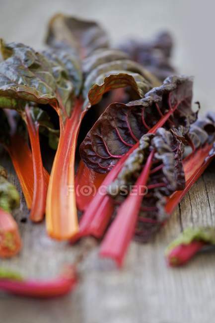 Folhas de acelga vermelha — Fotografia de Stock