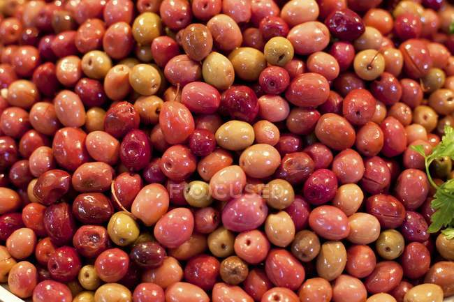 Маринованные красные оливки — стоковое фото