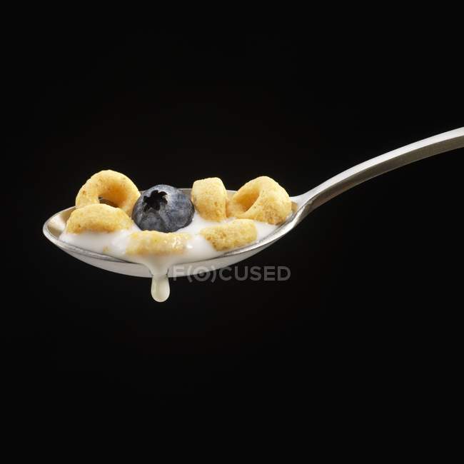 Spoonful of cereal with milk — Stock Photo