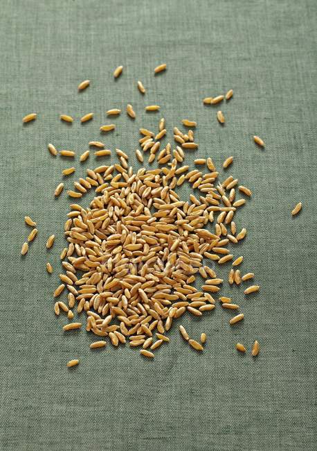 Cereali Kamut contro una superficie di lino verde — Foto stock