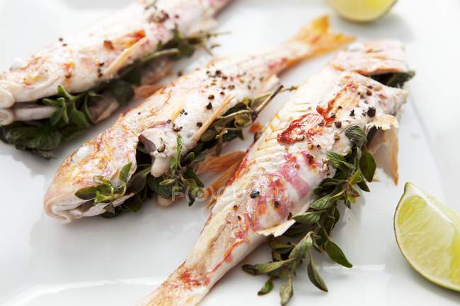 Closeup view of red mullet fish stuffed with herbs — Stock Photo
