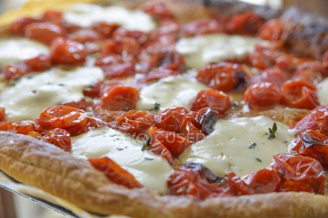 Tomato tart with mozzarella — Stock Photo