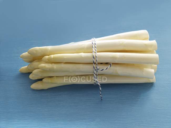 Mazzo di asparagi bianchi — Foto stock