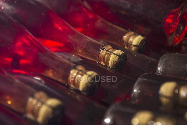 Champán fermentando en botellas - foto de stock