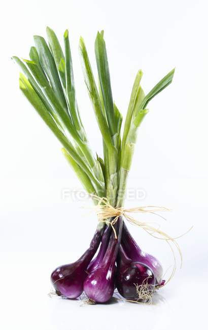 Red spring onions — Stock Photo