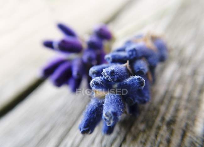 Vista close-up de flores de lavanda em uma mesa de madeira rústica — Fotografia de Stock