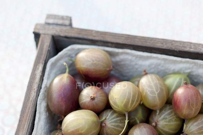Uva spina in cassa di legno — Foto stock