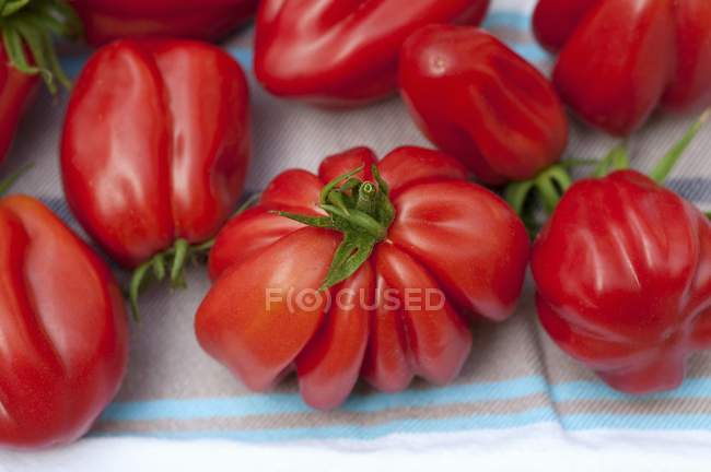 Tomates Buffalo Heart - foto de stock
