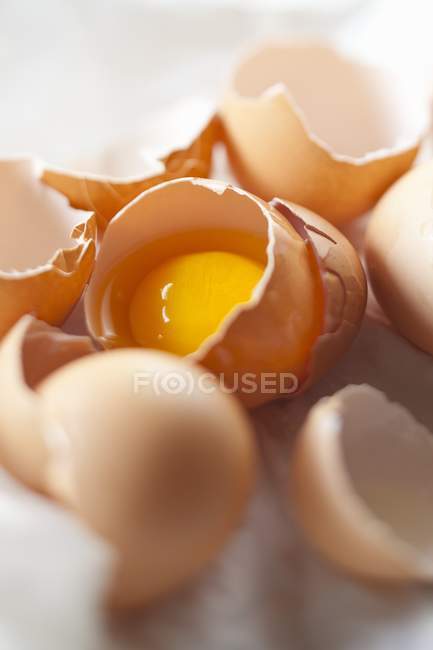 Geknackte Eierschalen mit Eigelb — Stockfoto