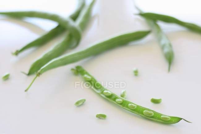 Fagioli reen con semi — Foto stock