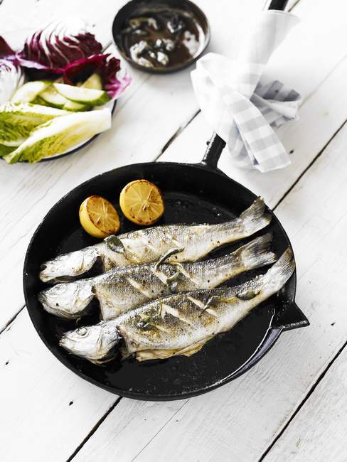 Bass served in cast-iron pan — Stock Photo