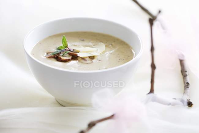 Mushroom soup in white bowl — Stock Photo