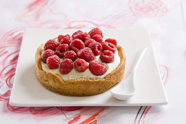 Raspberry tart on white platter — Stock Photo